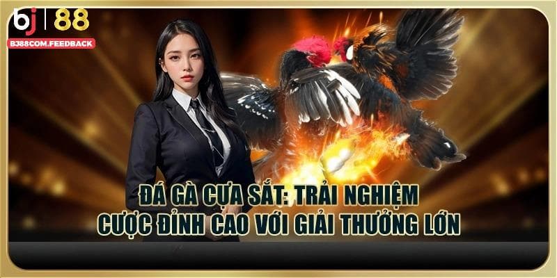 Những giống gà nổi trội thường được lựa chọn trong đá gà cựa sắt