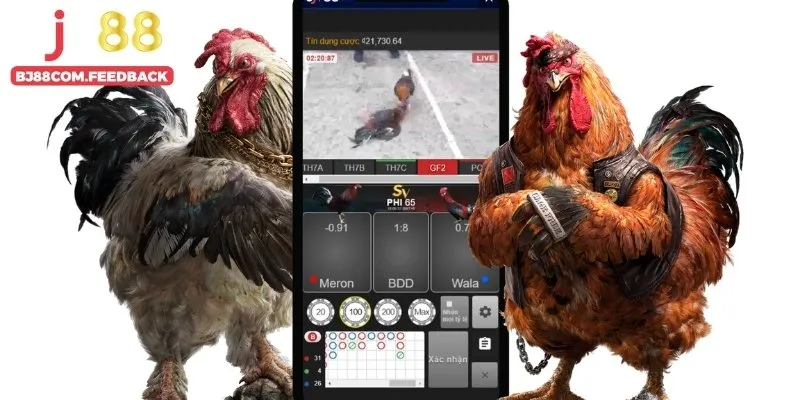 Giới thiệu đá gà Thomo BJ88