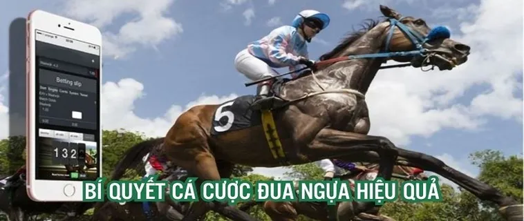 Tìm Hiểu Cá Cược Đua Ngựa BJ88: Hành Trình Thú Vị Chờ Đón Người Chơi Tìm Hiểu Cá Cược Đua Ngựa BJ88: Hành Trình Thú Vị Chờ Đón Người Chơi