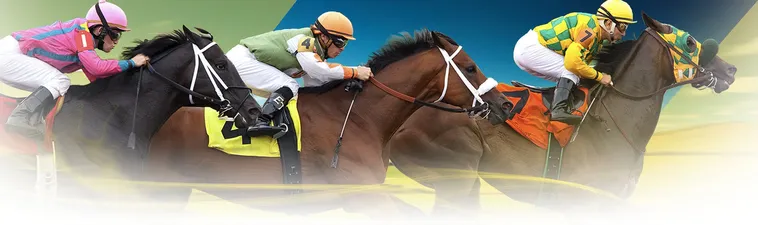 Tìm Hiểu Cá Cược Đua Ngựa BJ88: Hành Trình Thú Vị Chờ Đón Người Chơi